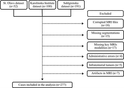 Lower-Grade Gliomas: An Epidemiological Voxel-Based Analysis of Location and Proximity to Eloquent Regions